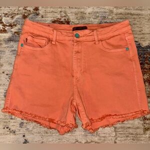 Judy Blue Shorts Size XL